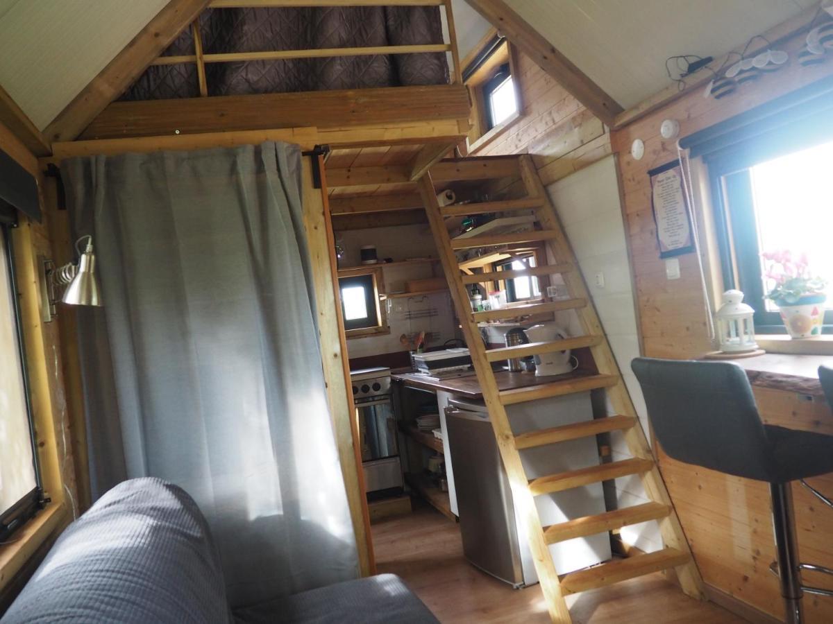 Tiny House Eco Resort Estevais エクステリア 写真